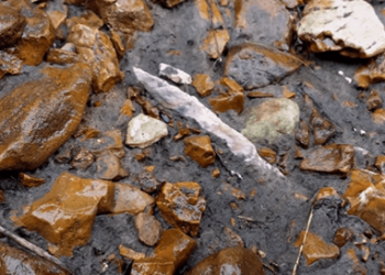 How to Locate Arrowheads in the Woods: Essential Tips and Strategies